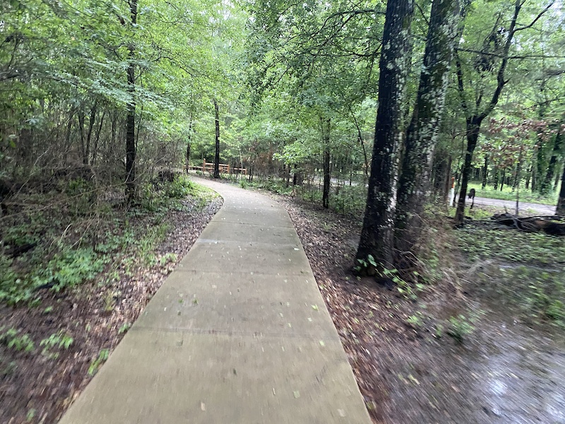A narrow, unpaved nature trail winding through a dense, lush green forest at Kelsey Creek Sanctuary near Lake Gilmer, Texas, perfect for a quiet hike away from the crowds.