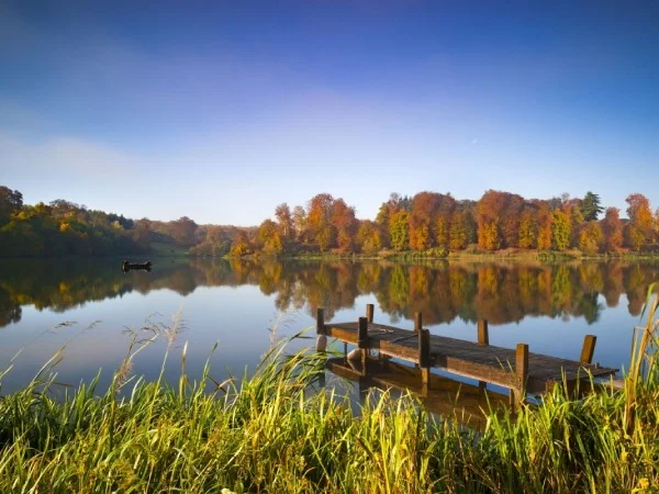 A scenic sunset view over the calm water of Lake Gilmer near Gilmer, Texas, featuring a peaceful shore and dense pine trees from the Kelsey Creek Sanctuary.