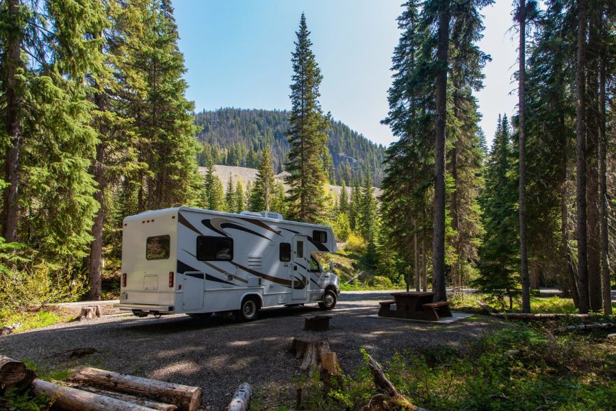 A white recreational vehicle parked at a campsite surrounded by tall pine trees and a wooden picnic table.