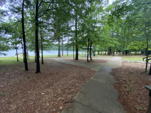 Best Hiking & Nature Trails Near Gilmer TX