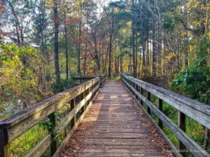 Daingerfield State Park Hiking Trails