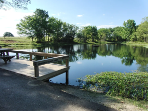Mineola Nature Preserve Trails